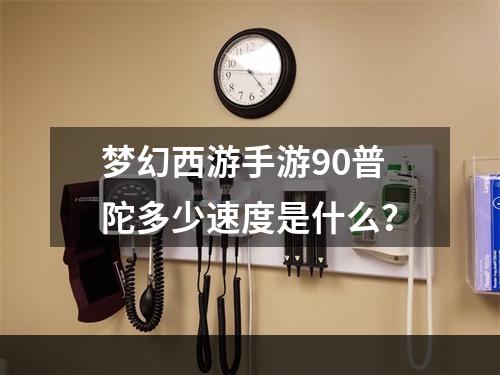 梦幻西游手游90普陀多少速度是什么？