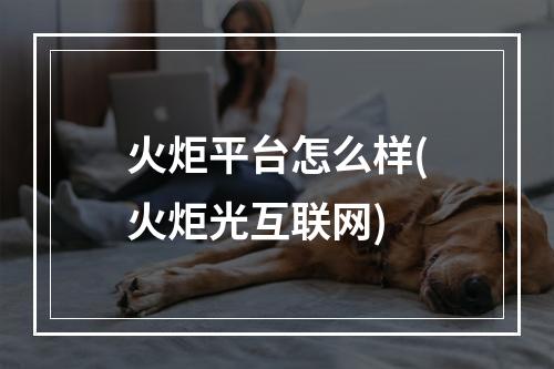 火炬平台怎么样(火炬光互联网)