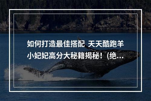 如何打造最佳搭配  天天酷跑羊小妃妃高分大秘籍揭秘！(绝密攻略大公开)