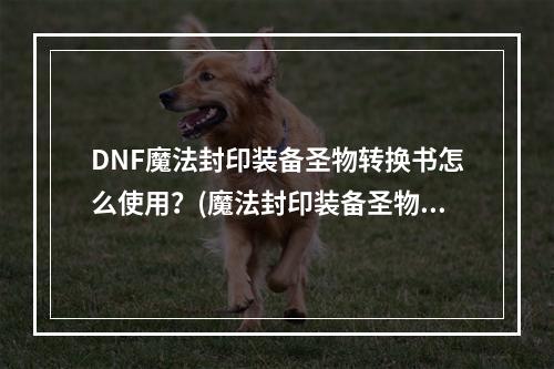 DNF魔法封印装备圣物转换书怎么使用？(魔法封印装备圣物转换书)