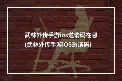 武林外传手游ios邀请码在哪(武林外传手游iOS邀请码)