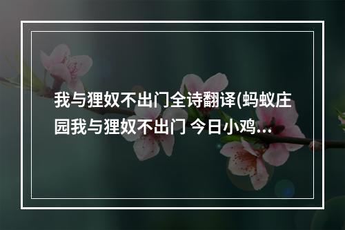 我与狸奴不出门全诗翻译(蚂蚁庄园我与狸奴不出门 今日小鸡庄园答案4.22)