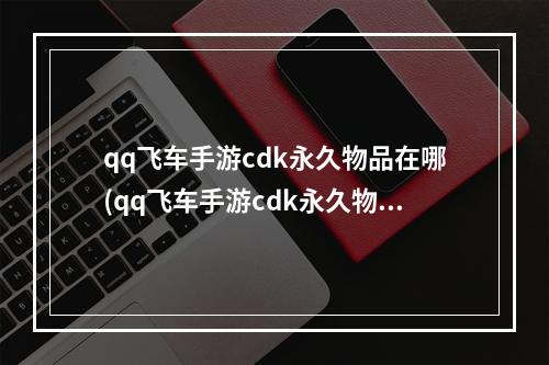 qq飞车手游cdk永久物品在哪(qq飞车手游cdk永久物品)