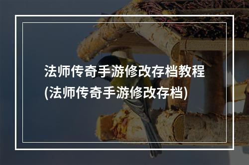 法师传奇手游修改存档教程(法师传奇手游修改存档)