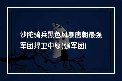 沙陀骑兵黑色风暴唐朝最强军团捍卫中原(强军团)