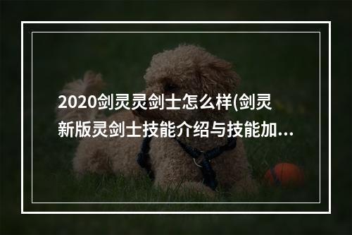 2020剑灵灵剑士怎么样(剑灵新版灵剑士技能介绍与技能加点推荐 灵剑士加点)