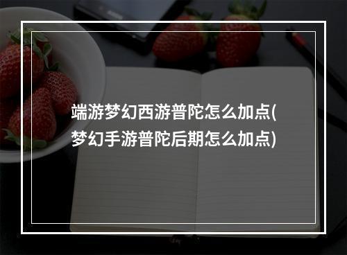 端游梦幻西游普陀怎么加点(梦幻手游普陀后期怎么加点)