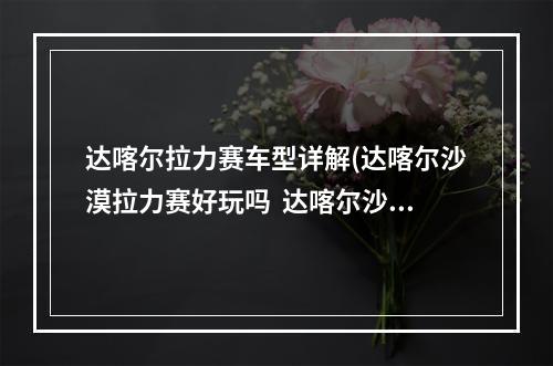 达喀尔拉力赛车型详解(达喀尔沙漠拉力赛好玩吗  达喀尔沙漠拉力赛特色内容)