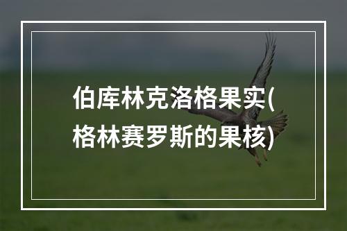 伯库林克洛格果实(格林赛罗斯的果核)