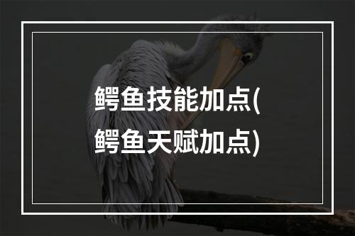 鳄鱼技能加点(鳄鱼天赋加点)