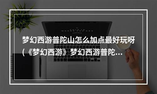 梦幻西游普陀山怎么加点最好玩呀(《梦幻西游》梦幻西游普陀山技能，梦幻西游普陀山加)