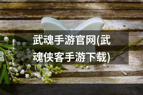 武魂手游官网(武魂侠客手游下载)