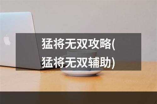 猛将无双攻略(猛将无双辅助)