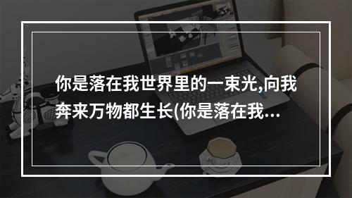 你是落在我世界里的一束光,向我奔来万物都生长(你是落在我世界里的一束光)