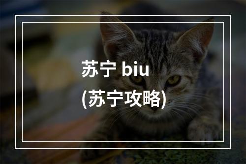 苏宁 biu(苏宁攻略)