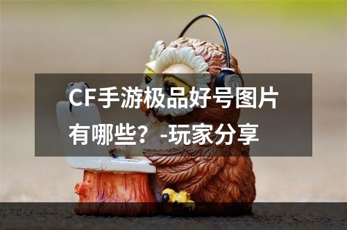 CF手游极品好号图片有哪些？-玩家分享