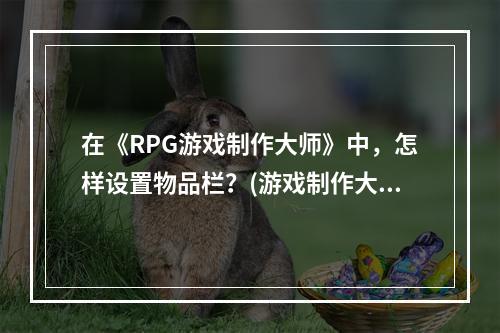 在《RPG游戏制作大师》中，怎样设置物品栏？(游戏制作大师)