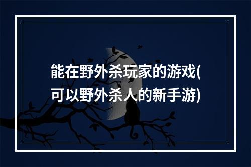 能在野外杀玩家的游戏(可以野外杀人的新手游)