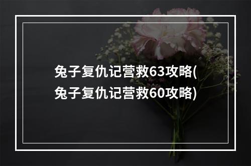 兔子复仇记营救63攻略(兔子复仇记营救60攻略)