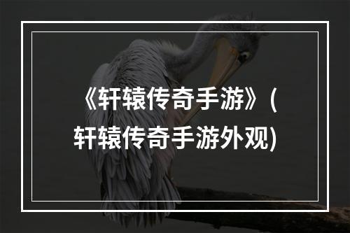 《轩辕传奇手游》(轩辕传奇手游外观)