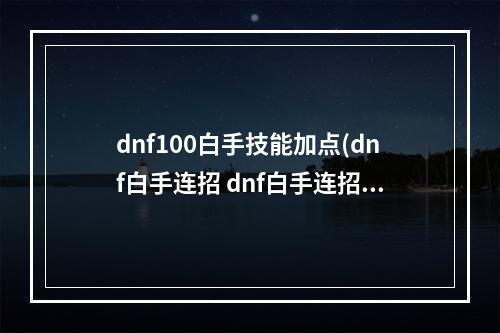 dnf100白手技能加点(dnf白手连招 dnf白手连招教学  )