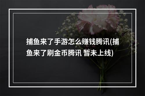 捕鱼来了手游怎么赚钱腾讯(捕鱼来了刷金币腾讯 暂未上线)