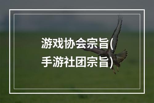 游戏协会宗旨(手游社团宗旨)