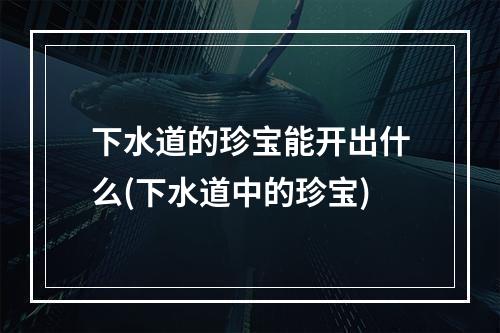 下水道的珍宝能开出什么(下水道中的珍宝)