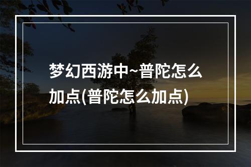 梦幻西游中~普陀怎么加点(普陀怎么加点)