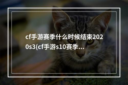 cf手游赛季什么时候结束2020s3(cf手游s10赛季多久)