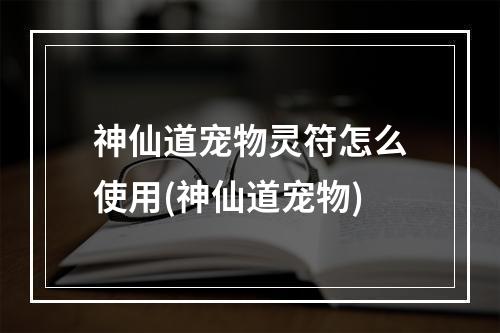 神仙道宠物灵符怎么使用(神仙道宠物)