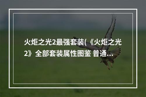 火炬之光2最强套装(《火炬之光2》全部套装属性图鉴 普通套装 01.艾泽若赫套装)