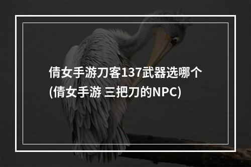 倩女手游刀客137武器选哪个(倩女手游 三把刀的NPC)