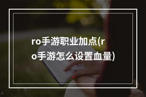 ro手游职业加点(ro手游怎么设置血量)