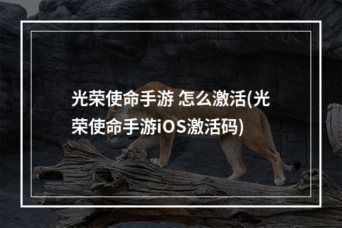 光荣使命手游 怎么激活(光荣使命手游iOS激活码)