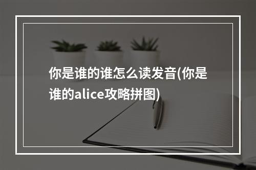 你是谁的谁怎么读发音(你是谁的alice攻略拼图)