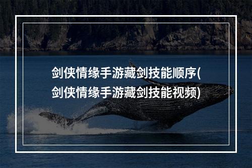 剑侠情缘手游藏剑技能顺序(剑侠情缘手游藏剑技能视频)