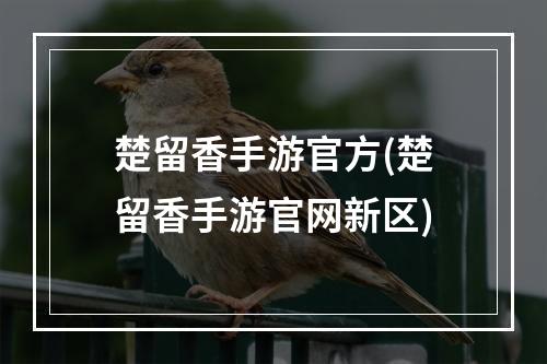 楚留香手游官方(楚留香手游官网新区)