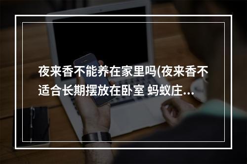 夜来香不能养在家里吗(夜来香不适合长期摆放在卧室 蚂蚁庄园3月23日答案最新)