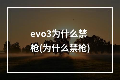 evo3为什么禁枪(为什么禁枪)