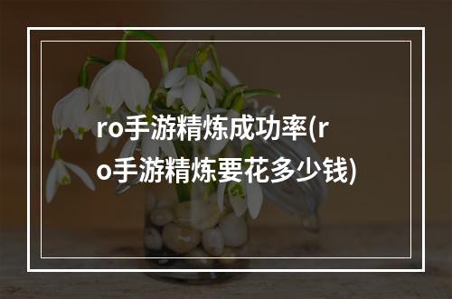 ro手游精炼成功率(ro手游精炼要花多少钱)