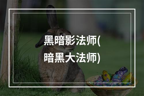 黑暗影法师(暗黑大法师)