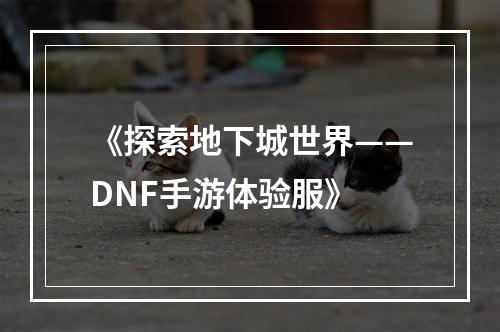 《探索地下城世界——DNF手游体验服》