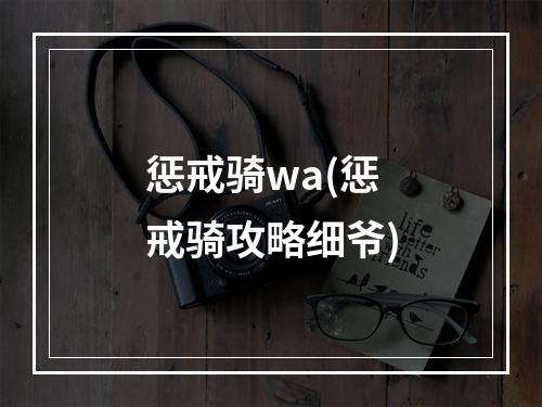 惩戒骑wa(惩戒骑攻略细爷)