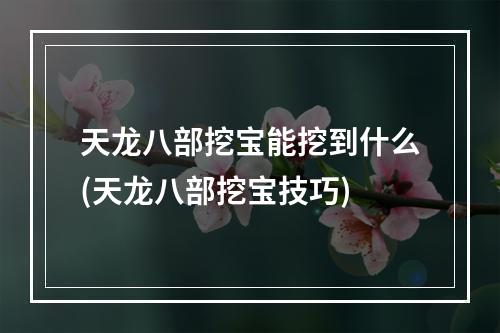 天龙八部挖宝能挖到什么(天龙八部挖宝技巧)