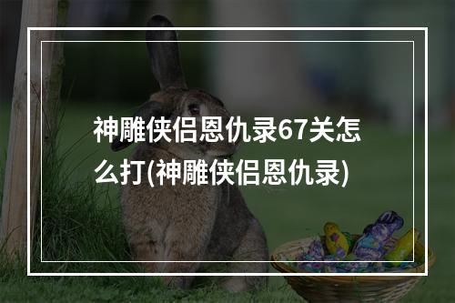 神雕侠侣恩仇录67关怎么打(神雕侠侣恩仇录)