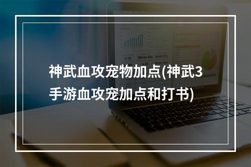 神武血攻宠物加点(神武3手游血攻宠加点和打书)