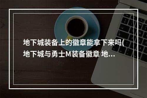 地下城装备上的徽章能拿下来吗(地下城与勇士M装备徽章 地下城与勇士M装备徽章玩法)