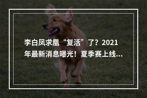 李白凤求凰“复活”了？2021年最新消息曝光！夏季赛上线时间公布！