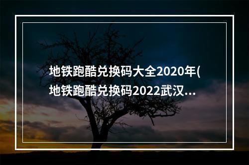 地铁跑酷兑换码大全2020年(地铁跑酷兑换码2022武汉站 真实有效10个永久免费)